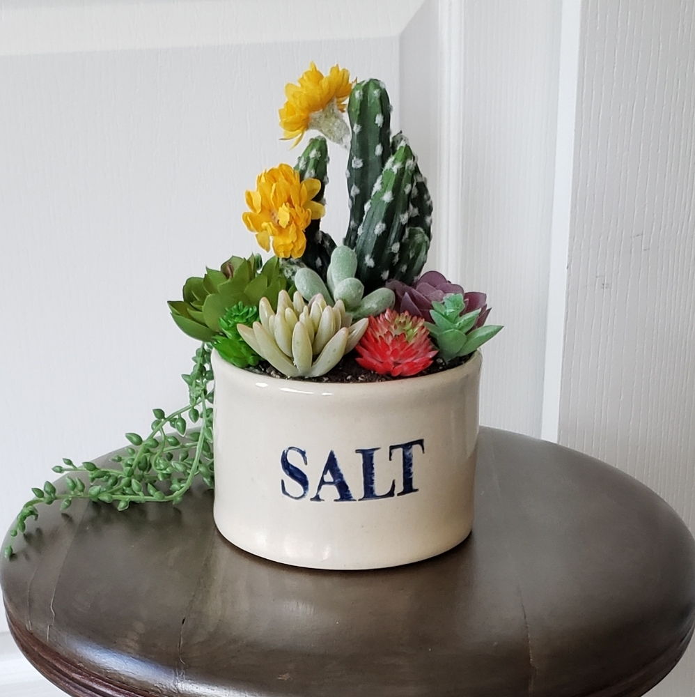 Salt Cellar Crock Cobalt With Succulents